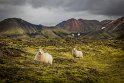 102 IJsland, Landmannalaugar